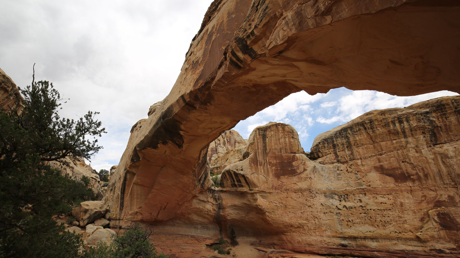 Arches National Park