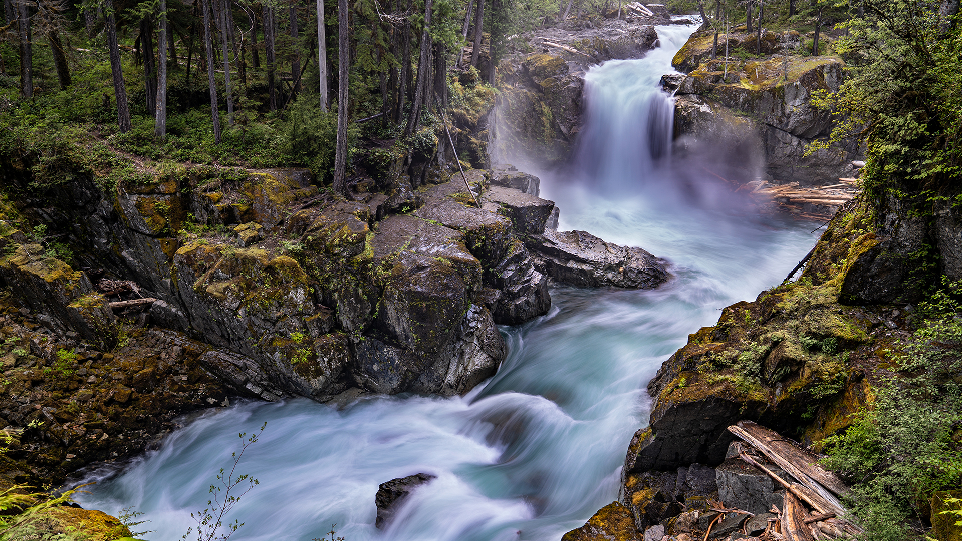 Mount Rainier National Park 