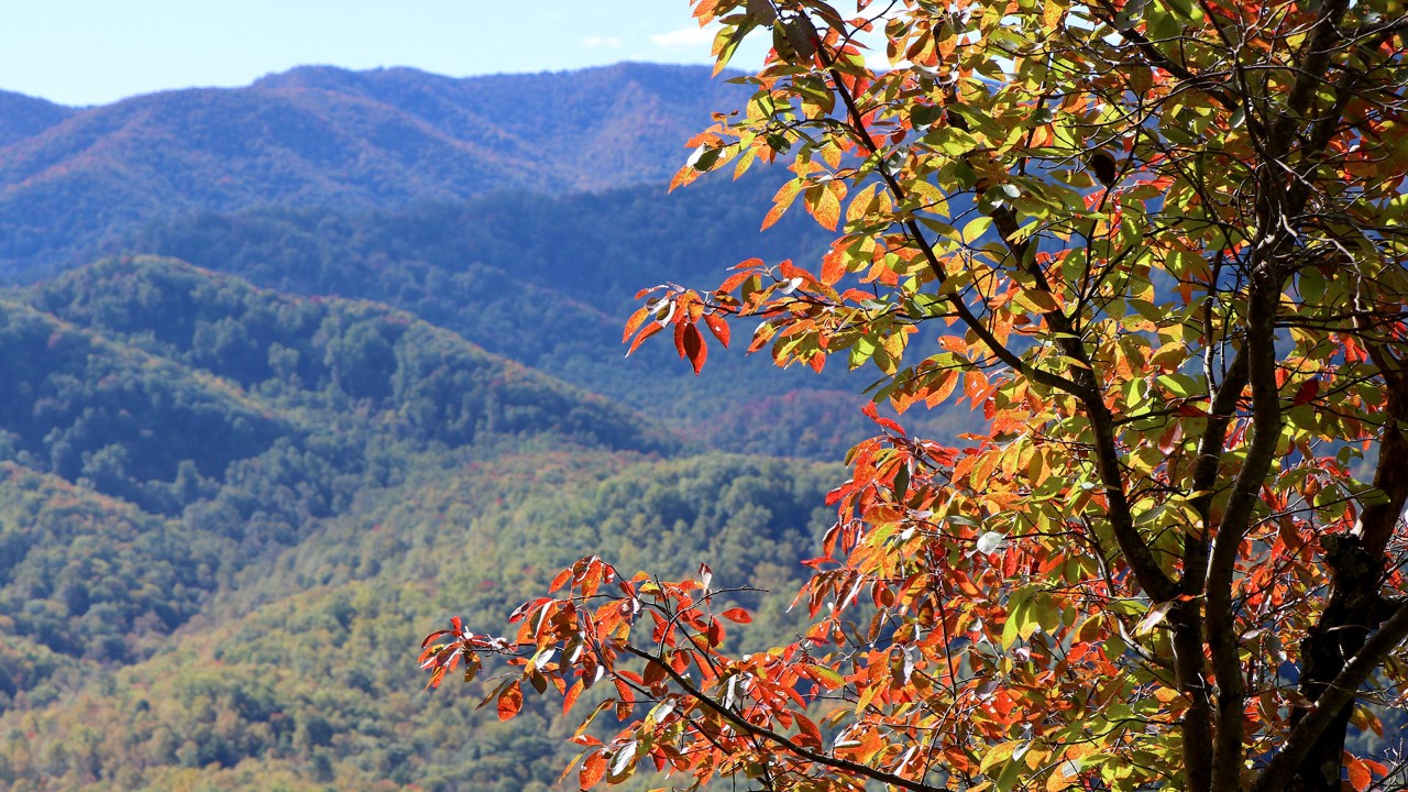 Great Smoky Mountains National Park